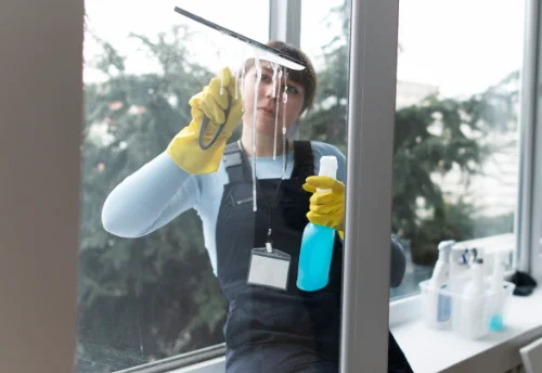 Nettoyage de vitres intérieures et extérieures à la Haie-Fouassière